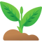 Feature Icon