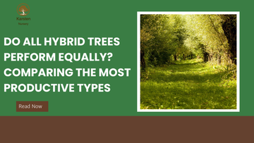 Do All Hybrid Trees Perform Equally? Comparing the Most Productive Types