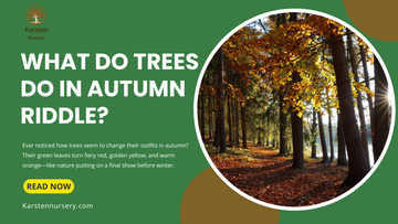 What Do Trees Do in Autumn Riddle?