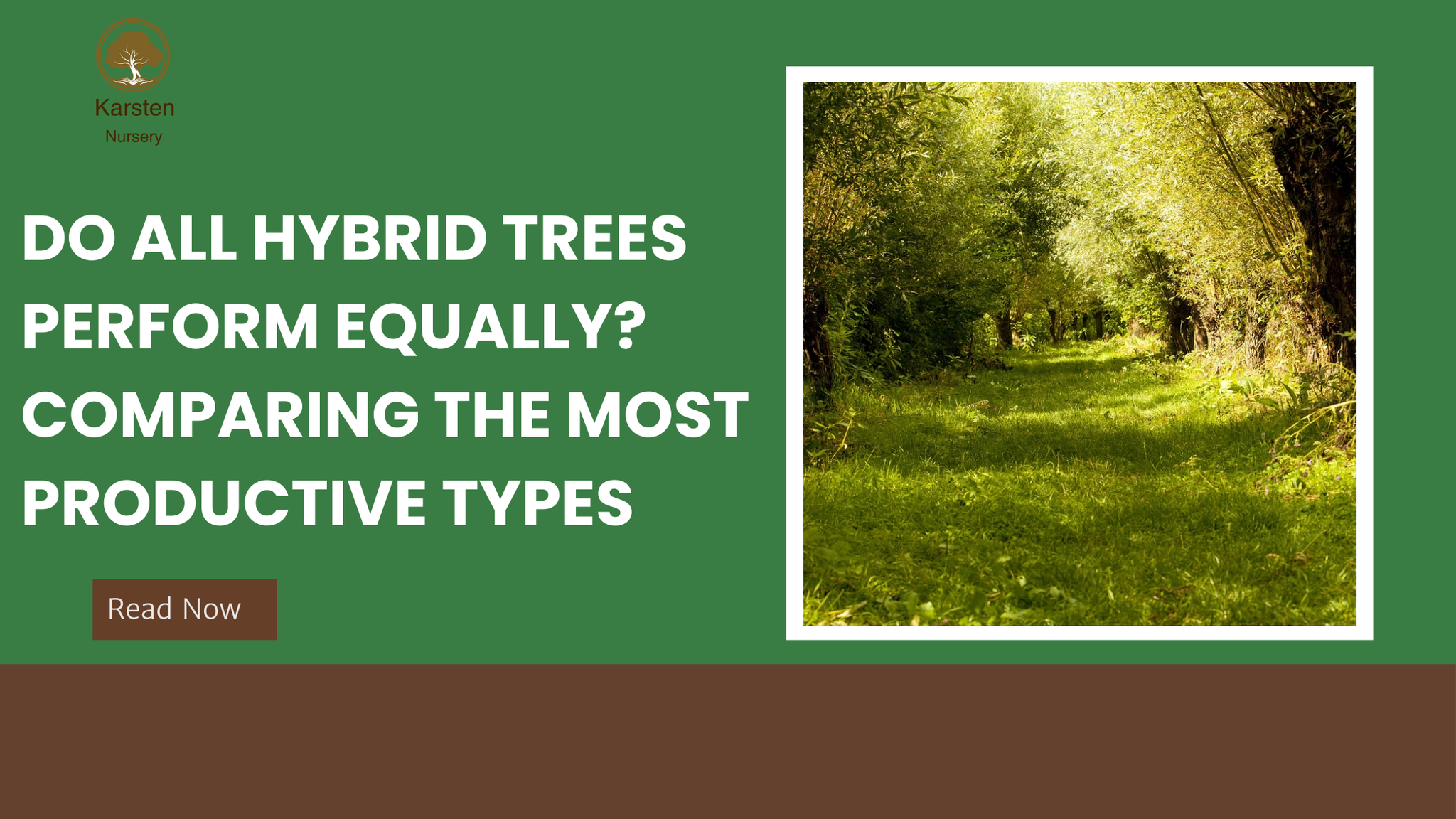 Comparing Trees Do All Hybrid Trees Perform Equally? Compare the Top Productive Types