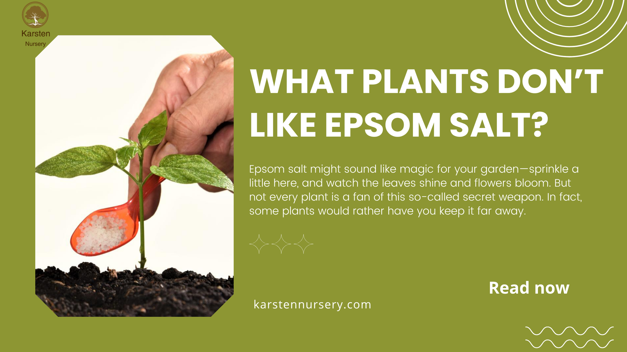 What Plants Don’t Like Epsom Salt?