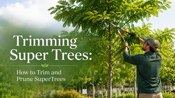 Trimming Super Trees: How to Trim and Prune SuperTrees 