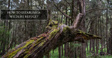 How to Establish a Wildlife Refuge?