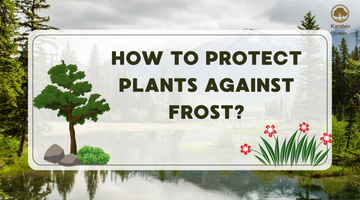 how to protect plants against forest?