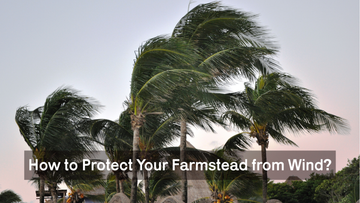 How to Protect Your Farmstead from Wind?