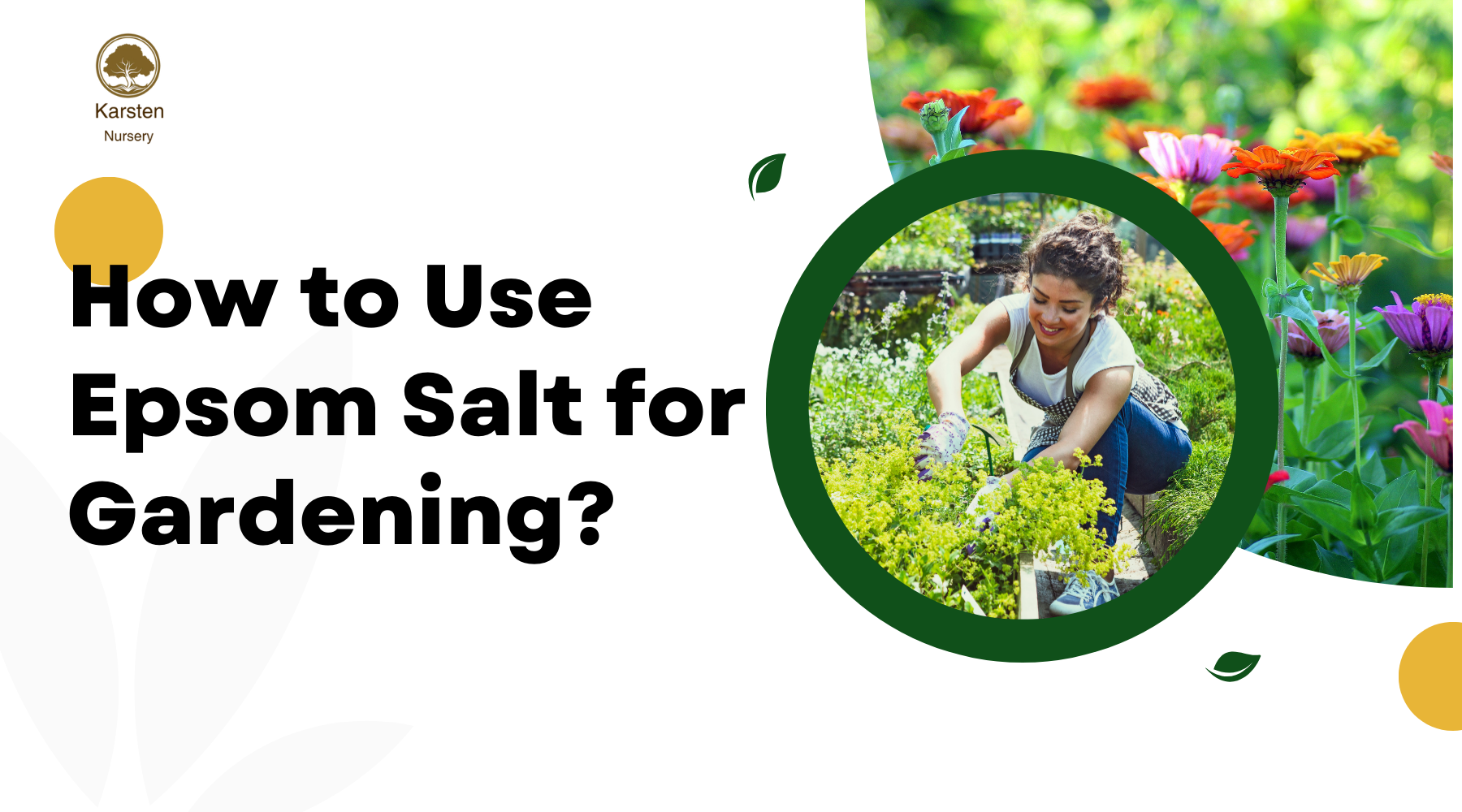 Garning Salt How to Use Epsom Salt for Gardening: Boost Your Plants Naturally
