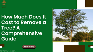 How Much Does It Cost to Remove a Tree? A Comprehensive Guide