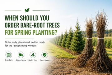 When Should You Order Bare-Root Trees for Spring Planting?