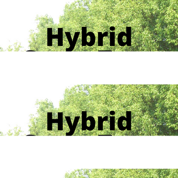 SuperTree Hybrid